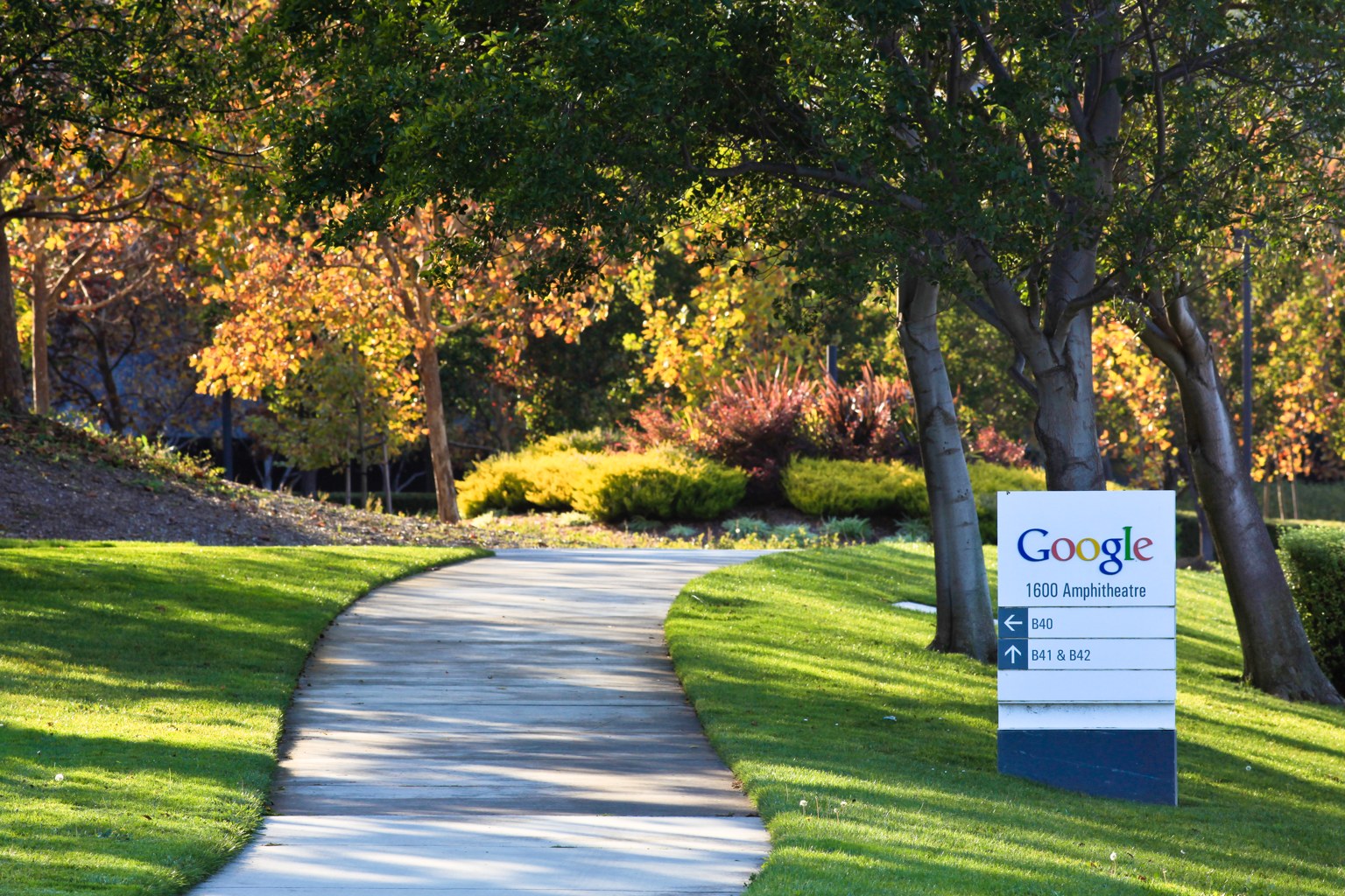 A Google headquarters sign beside a winding path and trees in Mountain View.