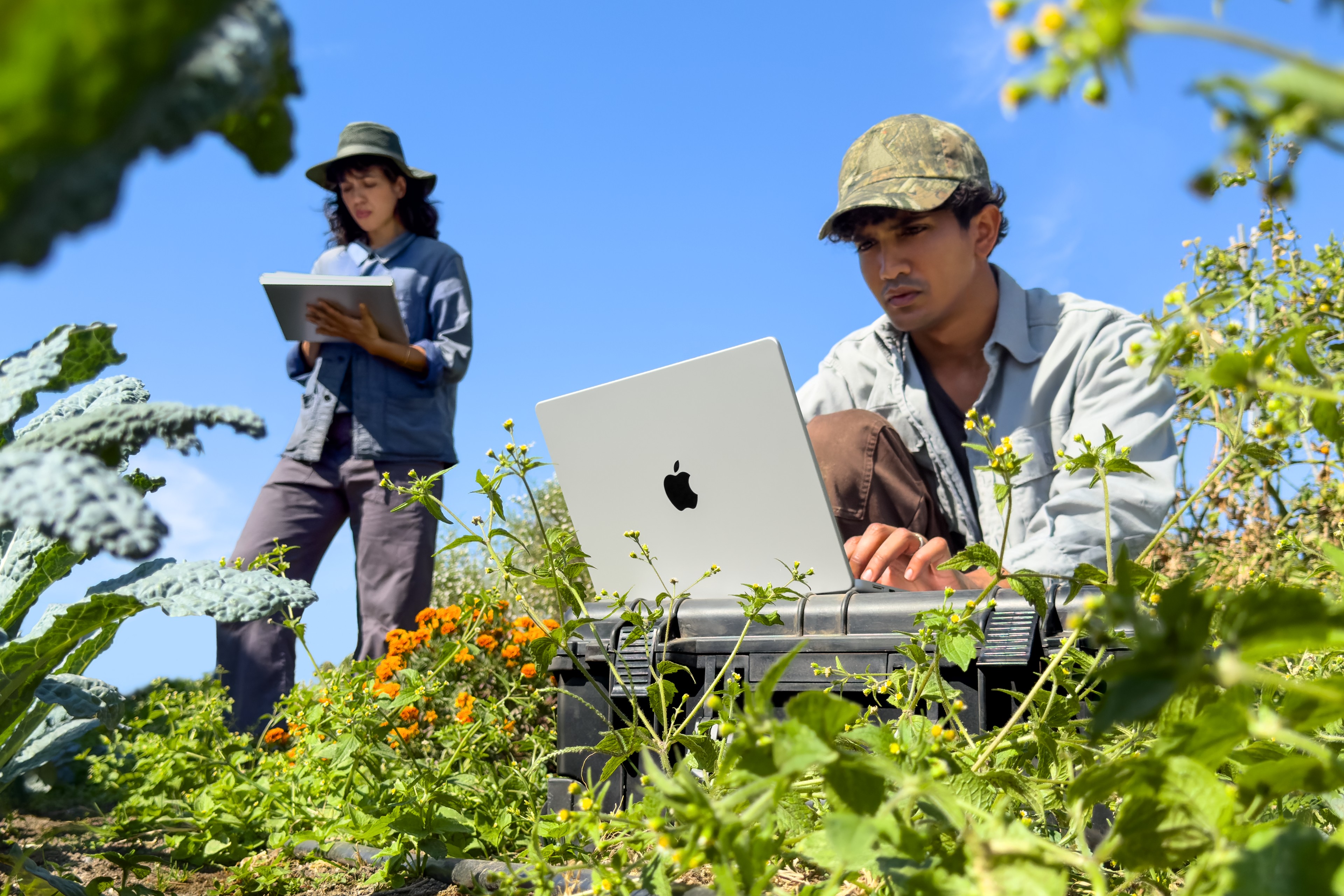 Two people work among plants outdoors, with one using a silver MacBook Pro on a protective equipment case.