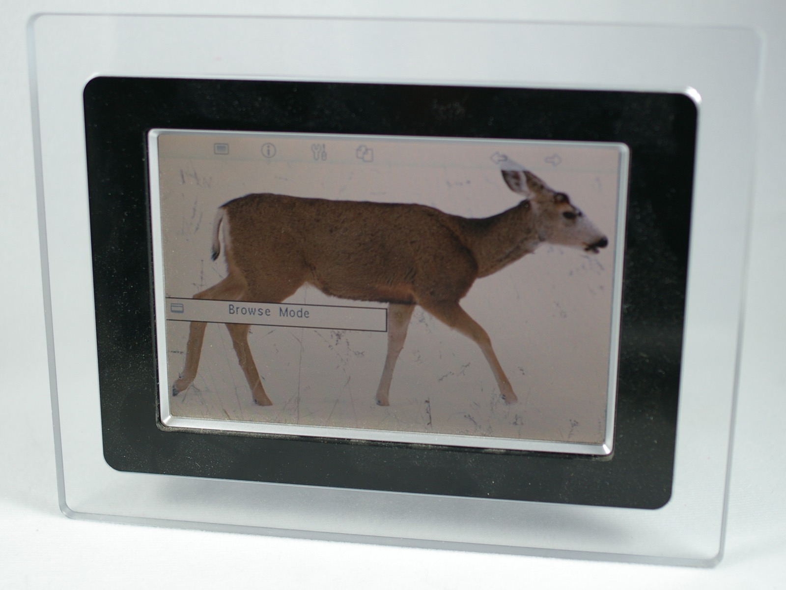 An older digital photo frame with a black inner border and translucent surround displays a mule deer standing in snow.