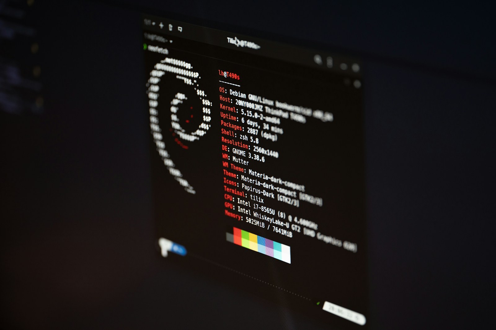 Terminal window showing Debian GNU/Linux system information next to the Debian swirl logo