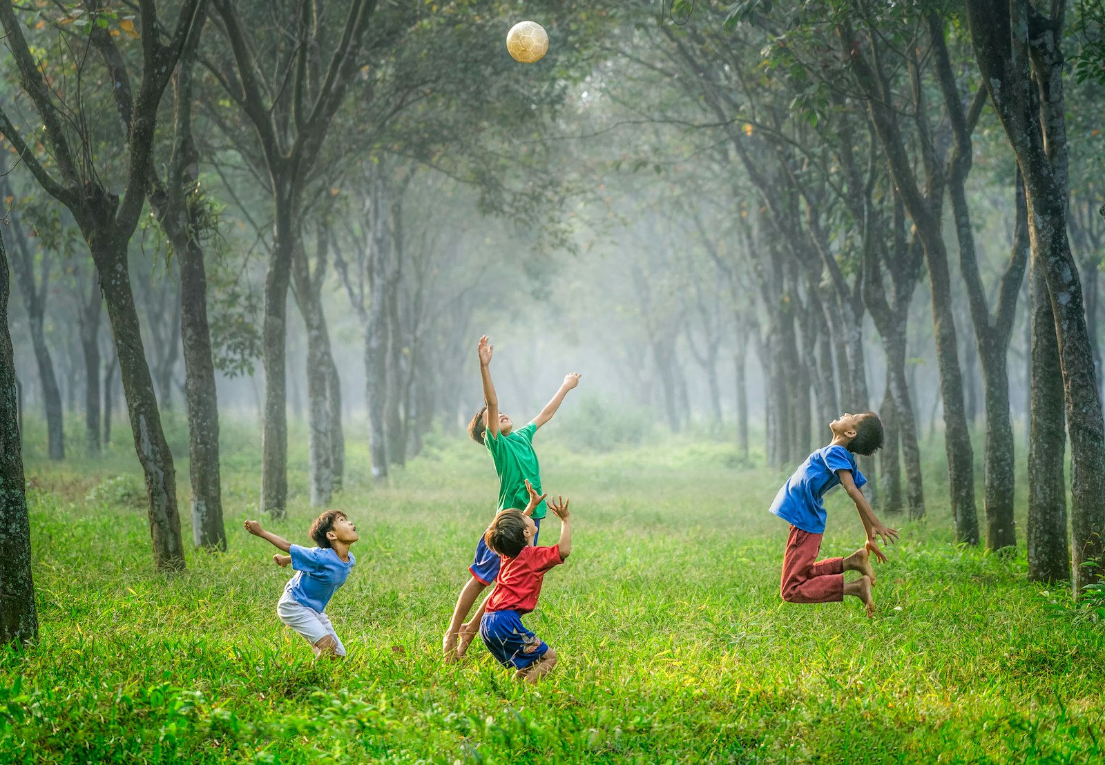 Children playing outdoors with a ball under tall trees