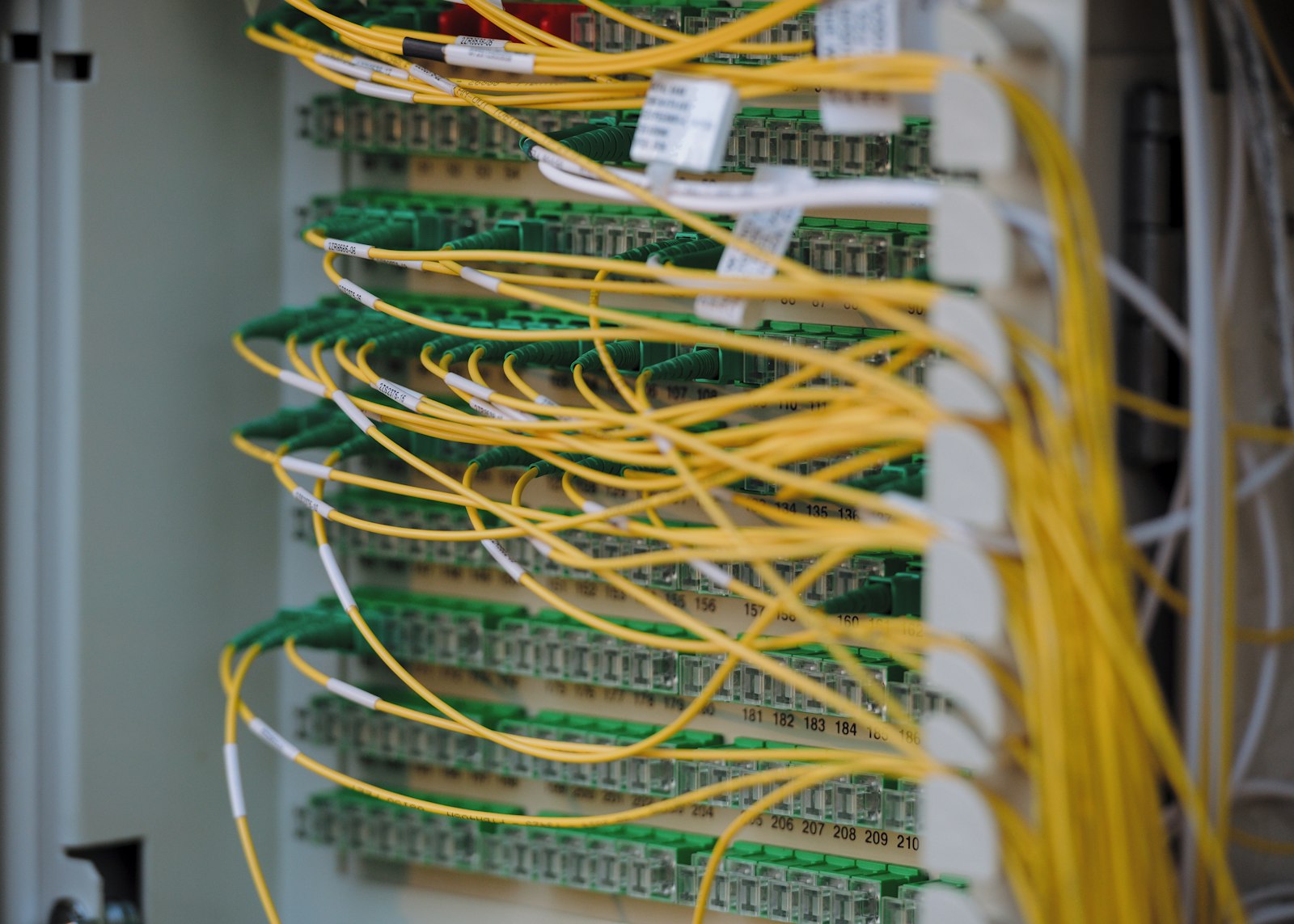 Close-up of colorful network cables plugged into a data center switch