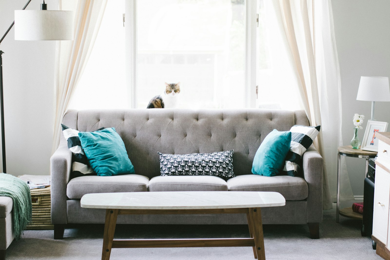 Bright living room with a grey sofa, teal pillows, and a cat on the windowsill